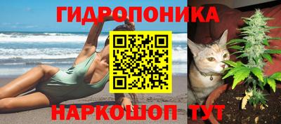 амф Пенза