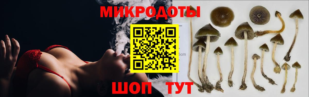 Новоалтайск  Галлюциногенные грибы прущие грибы  Вход с VPN 